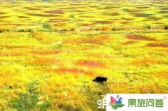 今年9月想去丽江昆明大理旅游好吗
