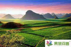 我们一起去云南看油菜花开