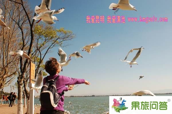 我爱昆明 我爱滇池
