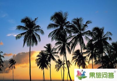 【昆明直飞三亚】潇洒蜈支洲——天涯海角、蜈支洲岛、南山文化苑