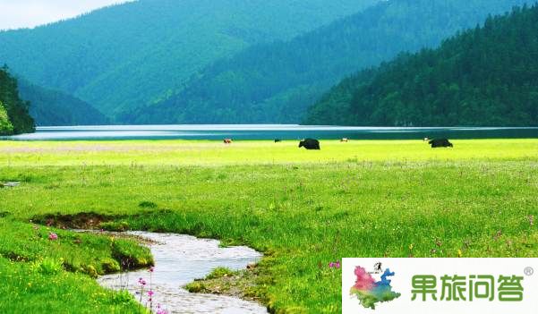香格里拉碧塔海观赏奇景之春天里的碧塔海