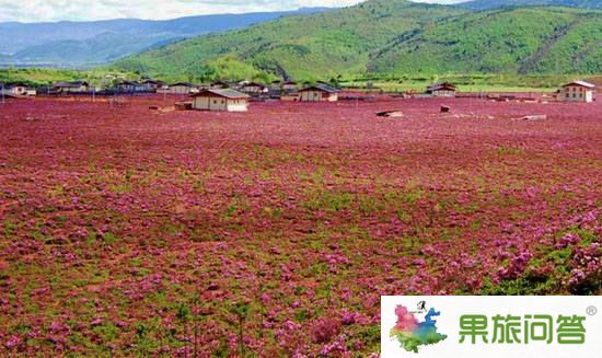 昆明、大理、丽江、泸沽湖、西双版纳生态休闲之旅【带石林九乡】