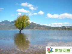 最新大年初一跟团游云南日记【火车篇】