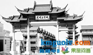 在整个云南珠宝产业中，昆明玉器城已被寄予了厚望。