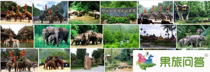 西双版纳（野象谷、热带植物园）组图