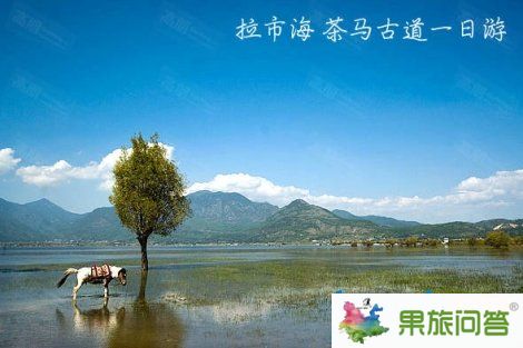 拉市海茶马古道 旅游线路报价
